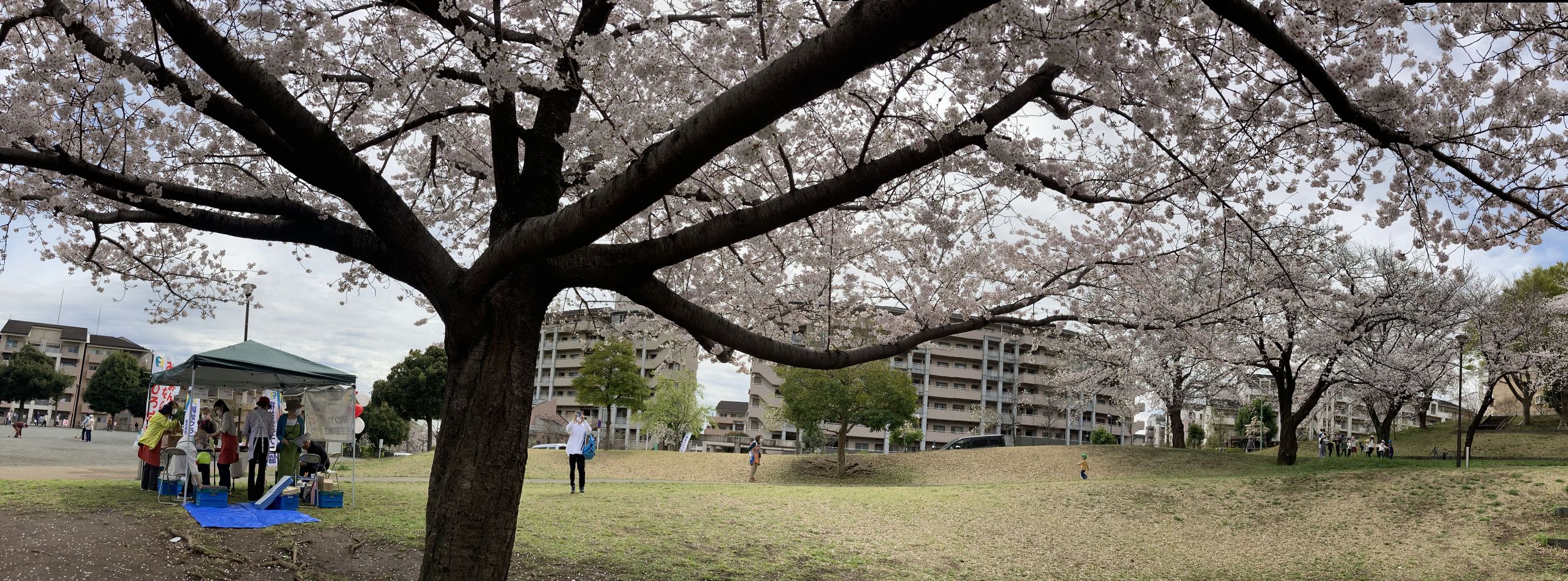 リサイズ＿みんなの広場2023.3.24_2.jpg